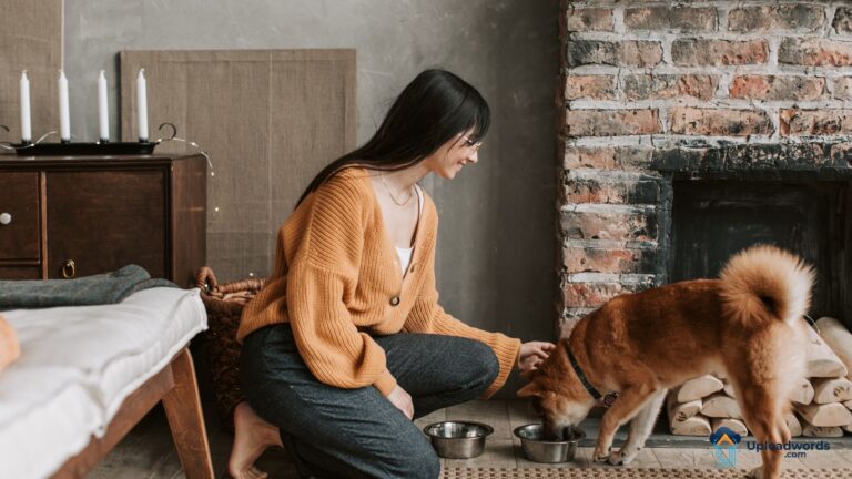Preventative care for dogs