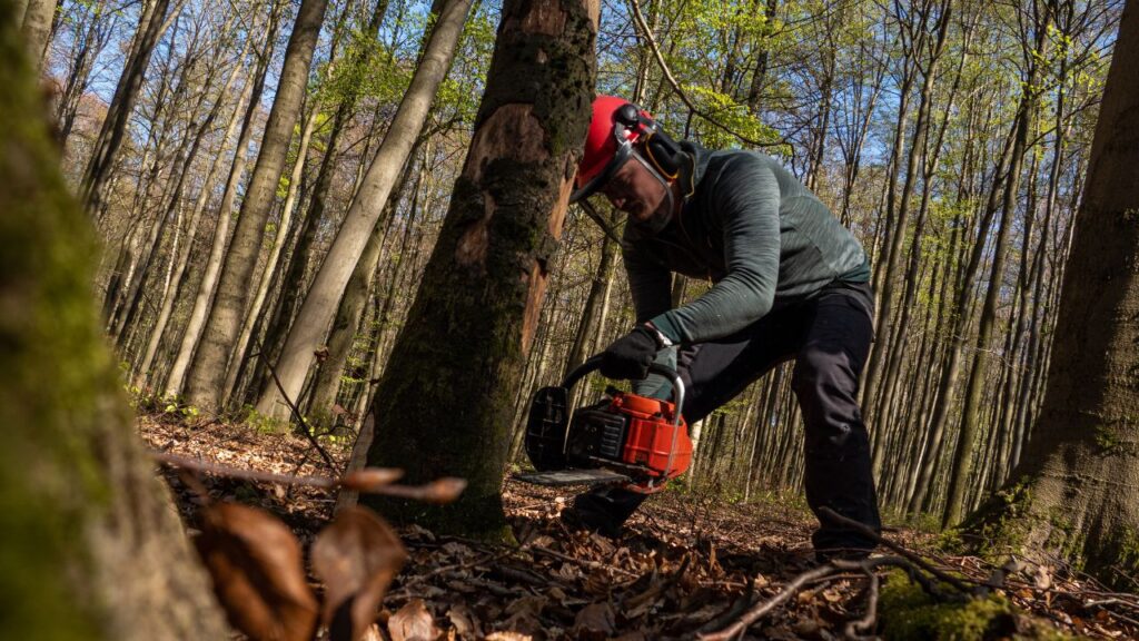 Tree cutting service