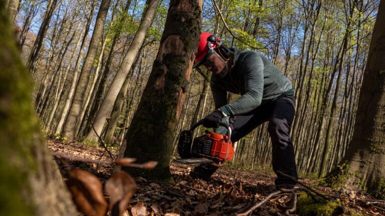 Tree cutting service